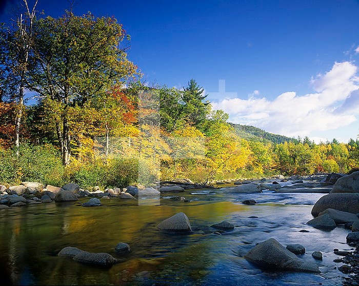 Swift River in the autumn, White Mountains National Forest, New Hampshire, USA.