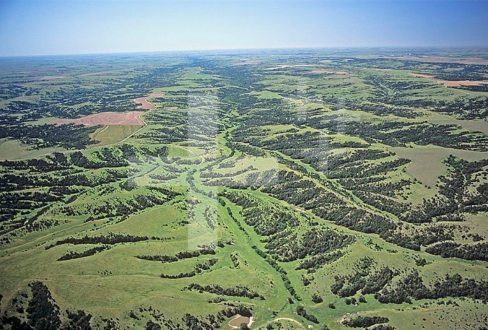 Aerial view of stream patterns, grasslands, and riparian growth east of Wellfleet, Nebraska, USA.
