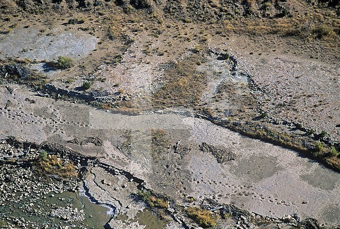 Dinosaur Tracks, Picketwire Canyon, Animas County, CO