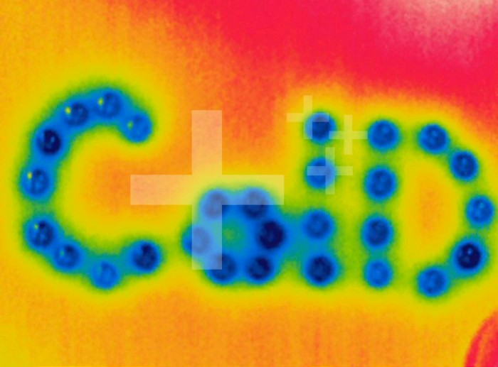 Thermogram - Chilled stones arranged to spell the word cold - The colors show temperature variation.  The temperature scale runs from white ,warmest, through red, yellow, green and cyan, blue and black ,coldest,