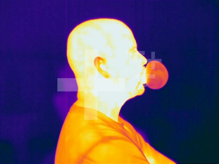 Thermogram showing a man blowing a bubble. The colors show temperature variation. The temperature scale runs from white (warmest) through yellow, orange, red, purple and black (coldest).