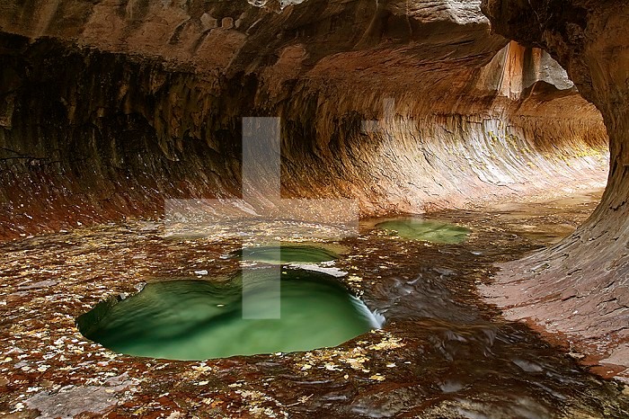 The Subway is a geologic formation of sandstone carved by water in the western half of Zion National Park.  It can only be reached by a strenuous hike via a 5 mile long trail along the Left Fork of North Creek.