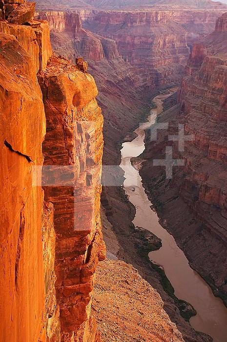 The Colorado River courses through Grand Canyon National Park at sunrise as viewed from Toroweap Overlook, over 3000 ft above the Colorado River. Arizona, USA.
