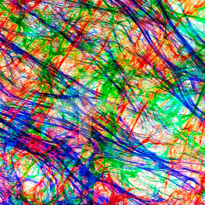 Extracellular matrix is the substance or matter of a tissue which is not a cell. Typically it is composed of protein polymers enriched with sugary branches ,shown here are fibronectin fibers,. Also known for sequestering then liberating growth factors and matrix proteases, thus directly affecting cell behavior.  The confocal image herein, is the result of an inverted picture, which indicates chronological matrix deposition represented by the different colors. X63