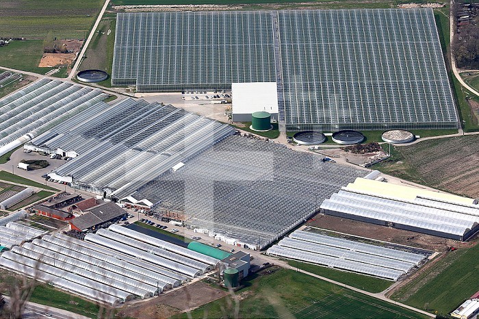 Canton of geneva. Greenhouses.