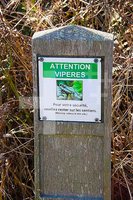 Warning, adders in this site.