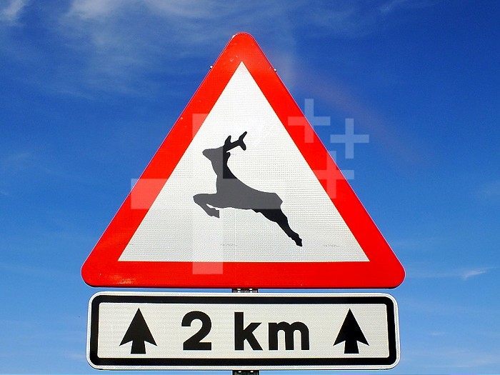 Wild animal warning sign.